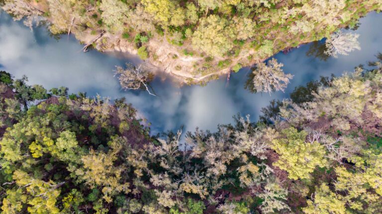 Lane Poole Reserve: Forest Playground on Perth’s Doorstep