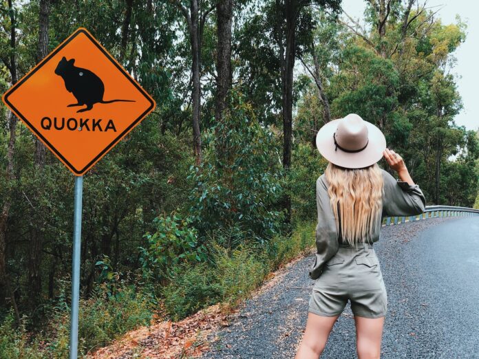 Beautiful blonde traveler girl wearing hat next to quokka sign in Australia