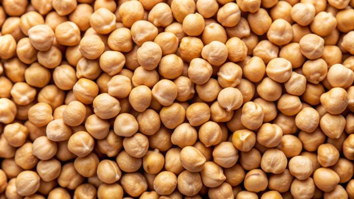 ai generated, legumes, grain, agriculture, nature, field, chickpea, food, harvest, healthy, vegetable, yummy, snack